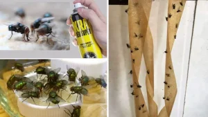 Средства против мух