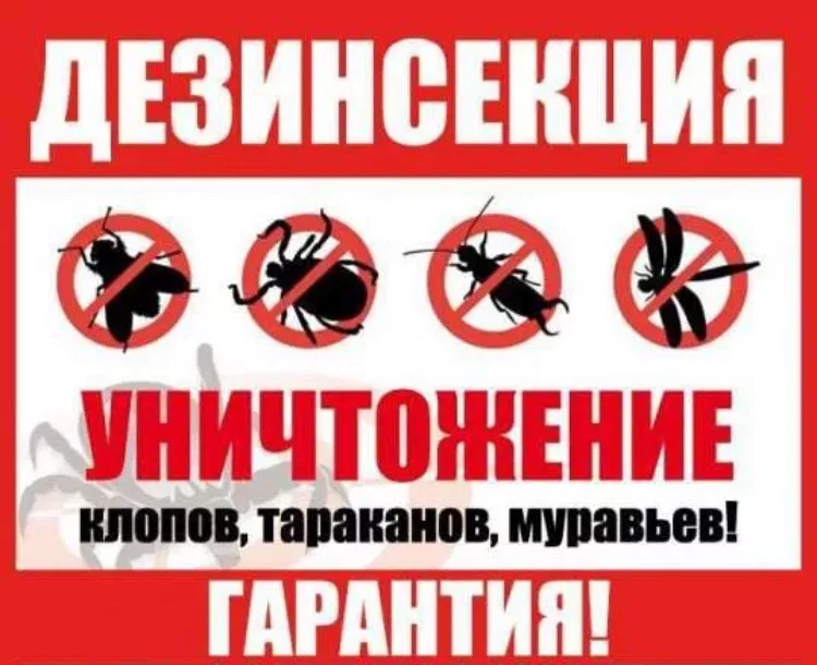 Гарантия рекламный оффер