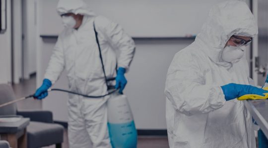 Специалисты делают сан обработку