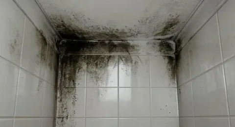 Плесень на кафельной плитке в ванной комнате