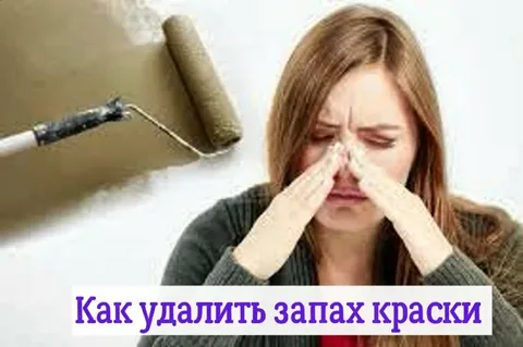 Запах от краски