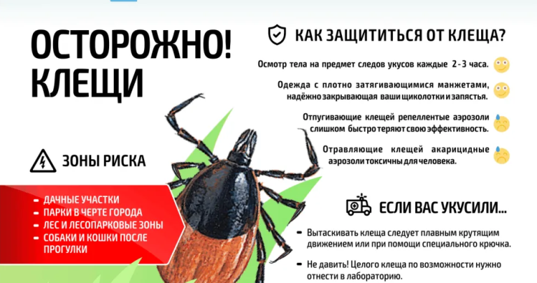 Как защитить больницу от клещей навсегда